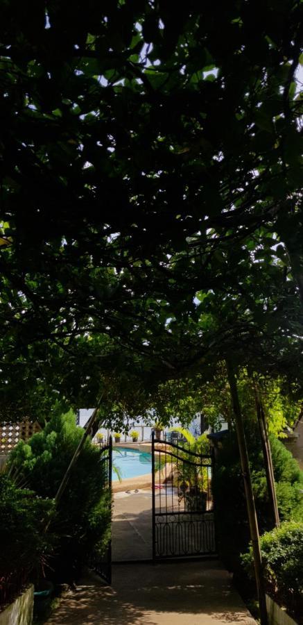 La Casa De Samonteza Hotel San Francisco  Ngoại thất bức ảnh